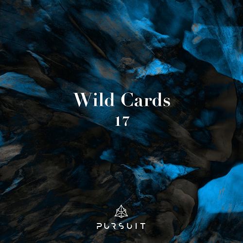 VA - Wild Cards 17 [PRST082]